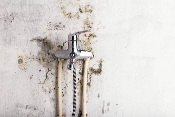 Best Mold Testing and Removal  in Woonsocket, RI