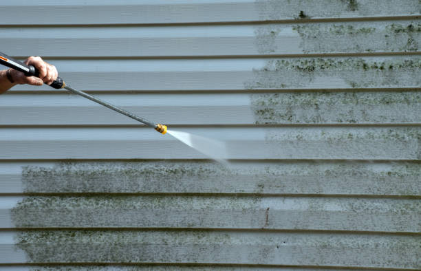 Mold Testing and Removal in Woonsocket, RI