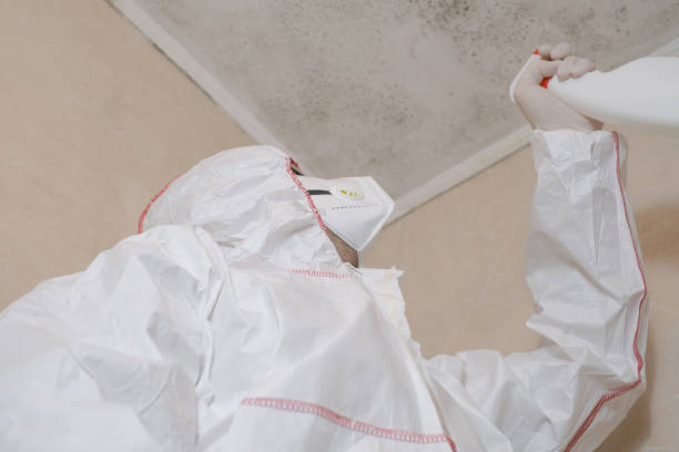Best Home Mold Removal  in Woonsocket, RI