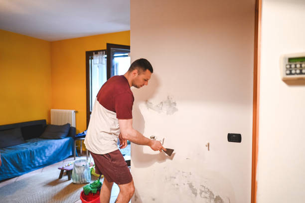 Best Fast Mold Removal  in Woonsocket, RI
